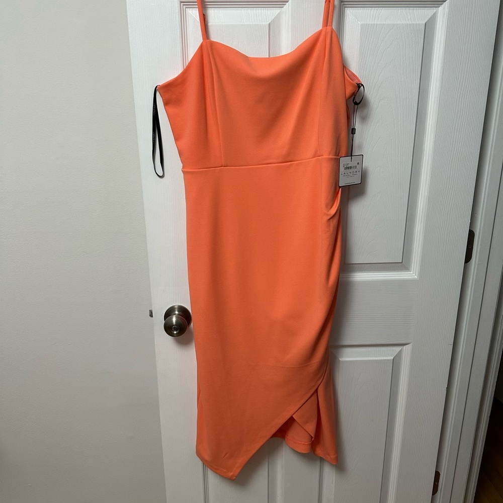 Elegant Orange Dress